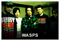 WASPS